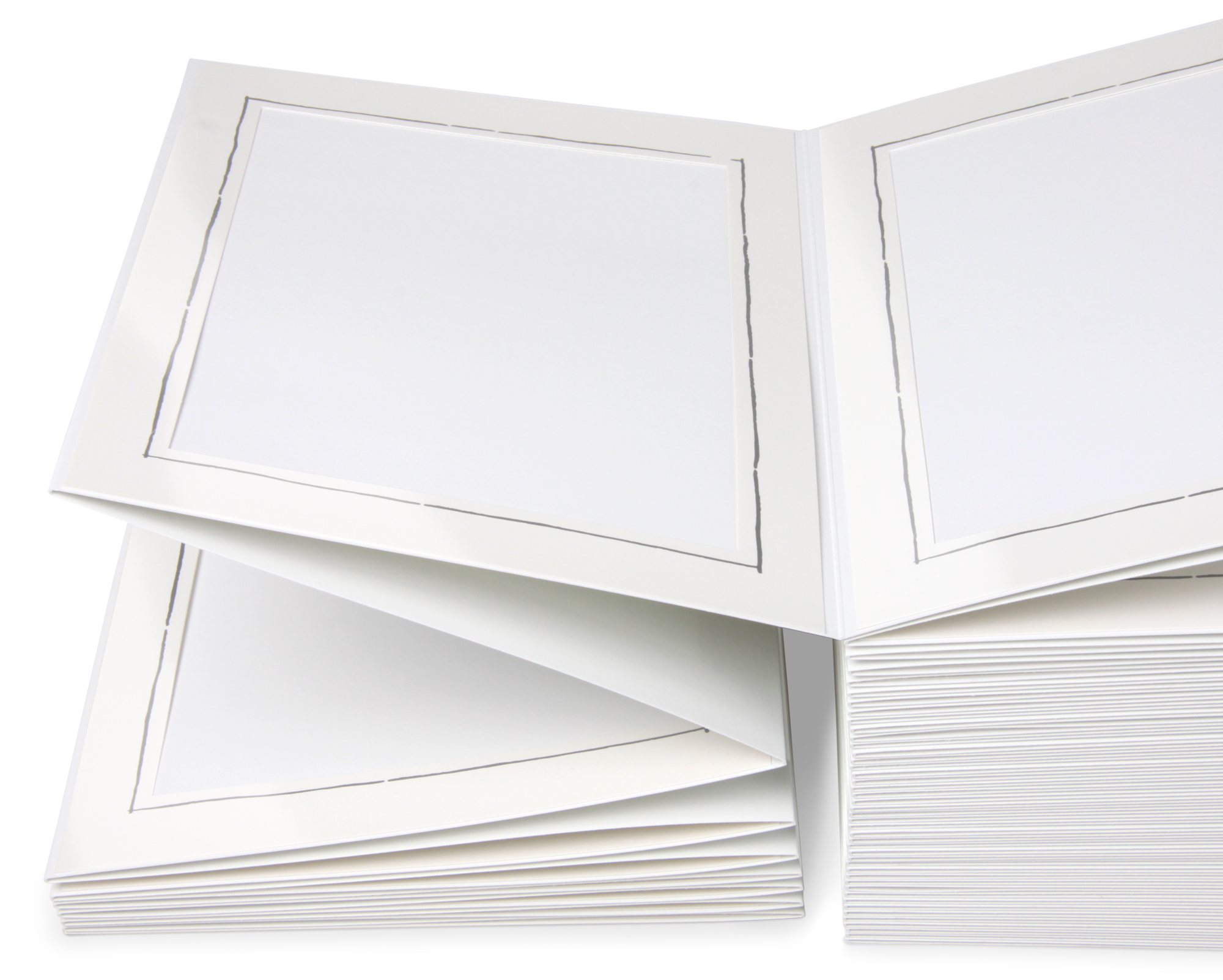 Endlosleporello Chromolux Weiß/Chromolux Weiß "Neue Linie Silber"für Bilder 10 x 15 cm (14,6x19,4cm)