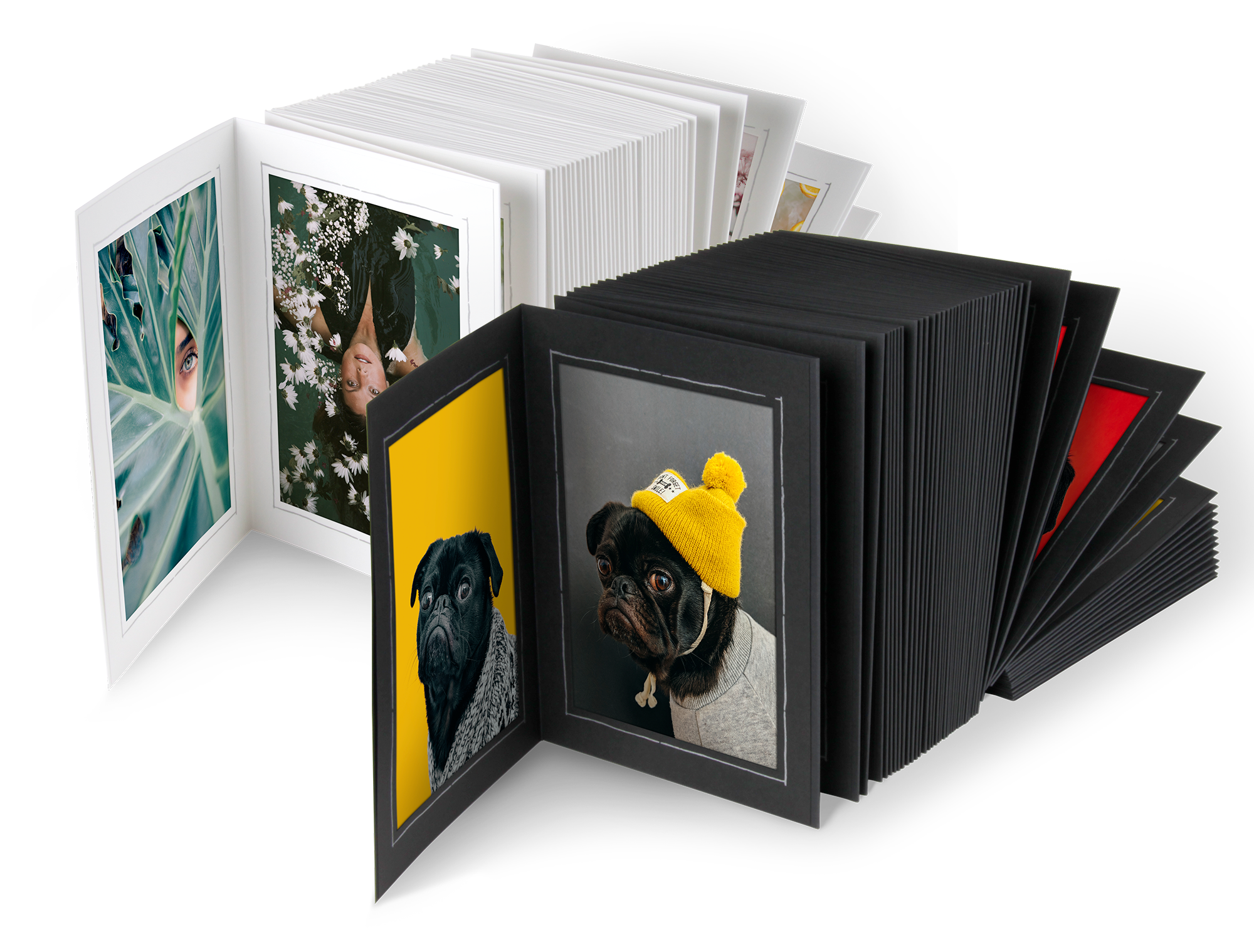 Endlosleporellos für Bilder in 9 x 13 cm
